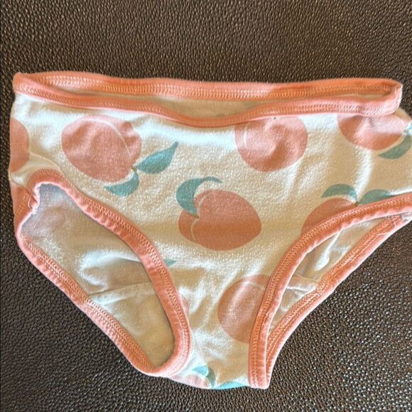 Kickee Pants Brown and Pink Floral Pajama Set and Underwears size 3-4T - Picture 9 of 9